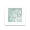 \"Sea Crown Ii\" Matted and Framed White 30x30 Wall Art