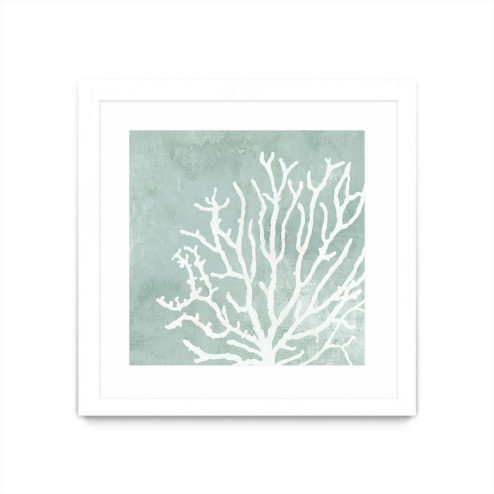 \"Sea Crown Ii\" Matted and Framed White 36x36 Wall Art