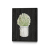 \"Herbs On Black Wood Ii\" Canvas Framed Black 30x40 Wall Art