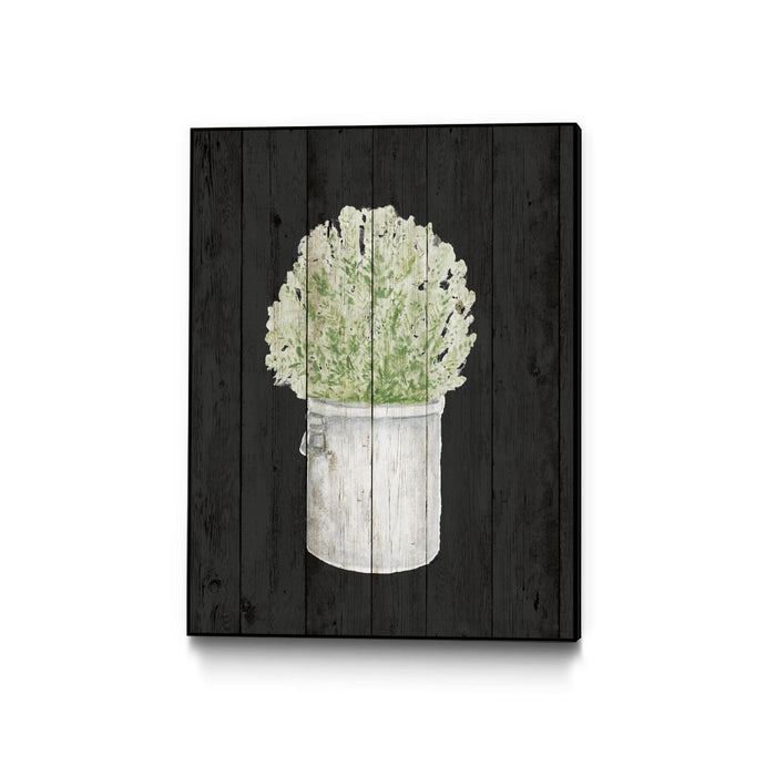 \"Herbs On Black Wood Ii\" Canvas Framed Black 30x40 Wall Art
