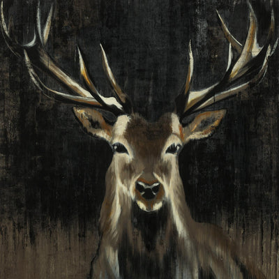 "Young Buck" Giant Art 72x72 Wall Art