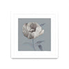 \"Floral Symposium I\" Matted and Framed White 30x30 Wall Art