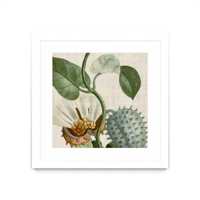 "Cropped Turpin Tropicals Ii" Matted and Framed White 30x30 Wall Art