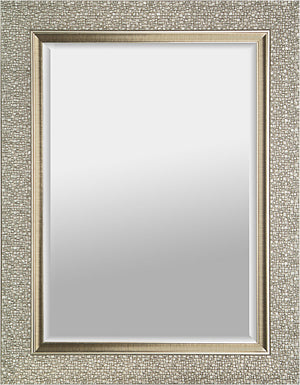 Fancy Silver Mirror – 27