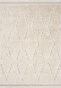 Belgin Area Rug - 8' x 11' 