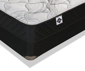 Springwall Autumn Tight Top Queen Mattress-in-a-Box Set