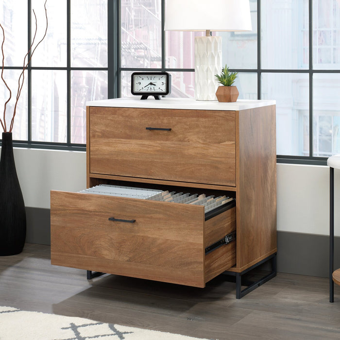 Taryn 27.95\" 2-Drawer Filing Cabinet - White & Light Brown
