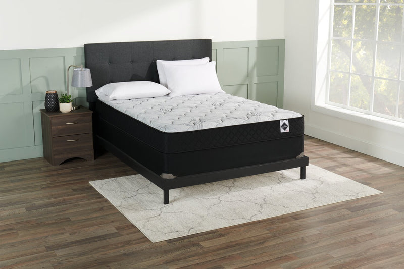 Springwall Autumn Tight Top Twin Mattress-in-a-Box Set