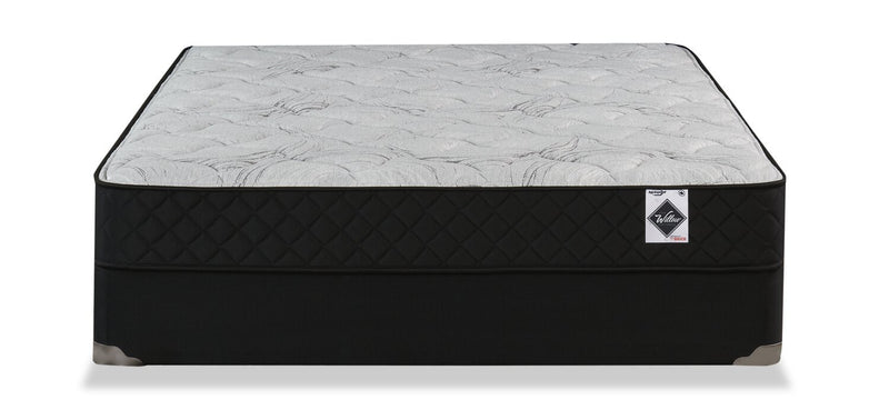 Springwall Autumn Tight Top Queen Mattress-in-a-Box Set