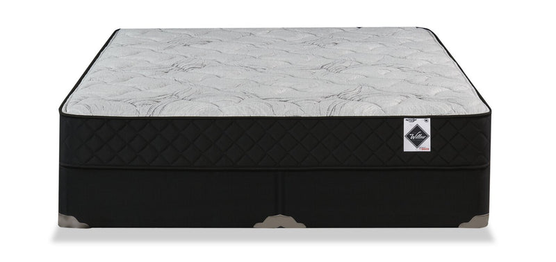 Springwall Autumn Tight Top Split Queen Mattress-in-a-Box Set