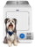 Maytag 7 Cu. Ft. Pet Pro Electric Dryer - White - YMED6500MW